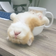深圳市快播有限公司官方版APP应用