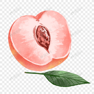 WWW,258se·COM网站APP最新版